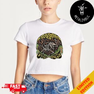 King Gizzard And The Lizard Wizard 2024 Tour Dragon Artwork Merchandise Cropped T-Shirt